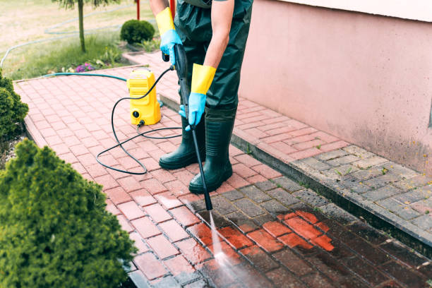 Best Residential House Exterior Washing  in Pinckney, MI